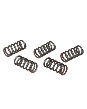 Kit 5 ressorts d'embrayage - Casa Lambretta M 295/V (M295V)