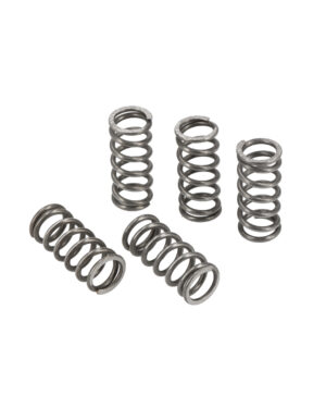 Kit 5 ressorts d'embrayage - Casa Lambretta M 296 (M296)