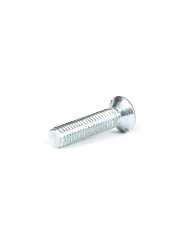 Vis fendue M5 x 25 mm - Casa Lambretta 4 (4)