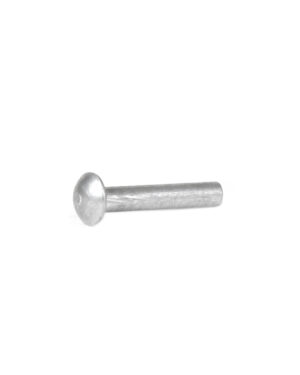 Rivet de fixation 1